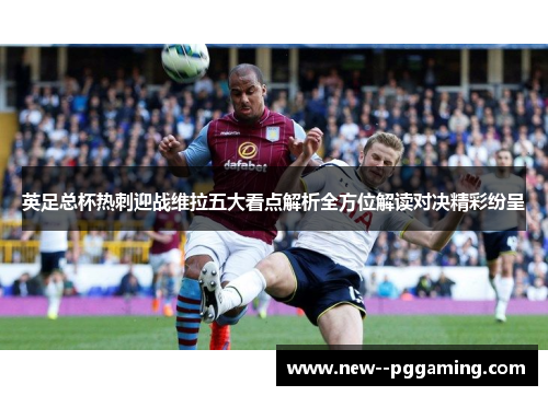 英足总杯热刺迎战维拉五大看点解析全方位解读对决精彩纷呈