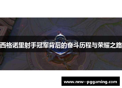 西格诺里射手冠军背后的奋斗历程与荣耀之路