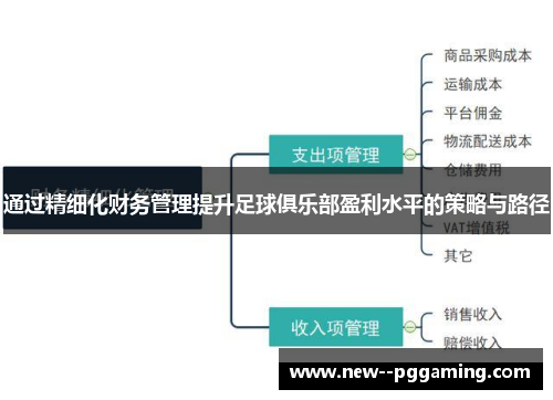 通过精细化财务管理提升足球俱乐部盈利水平的策略与路径