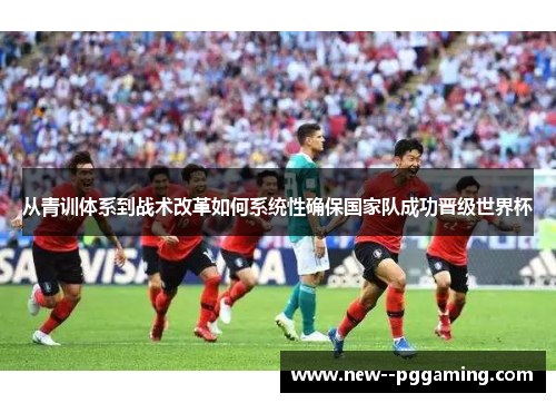 从青训体系到战术改革如何系统性确保国家队成功晋级世界杯