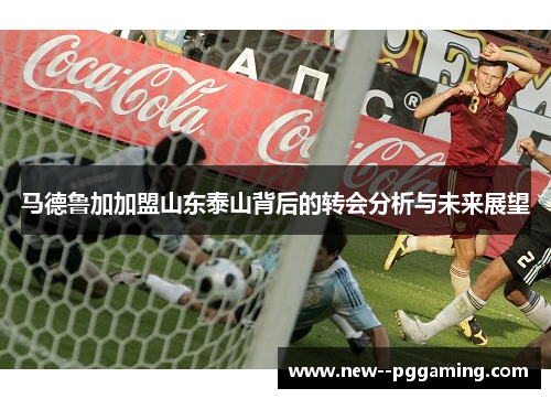 马德鲁加加盟山东泰山背后的转会分析与未来展望