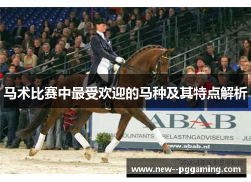 马术比赛中最受欢迎的马种及其特点解析