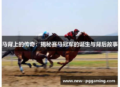 马背上的传奇:揭秘赛马冠军的诞生与背后故事 马背上的传奇:揭秘赛马冠军的诞生与背后故事