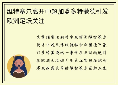 维特塞尔离开中超加盟多特蒙德引发欧洲足坛关注